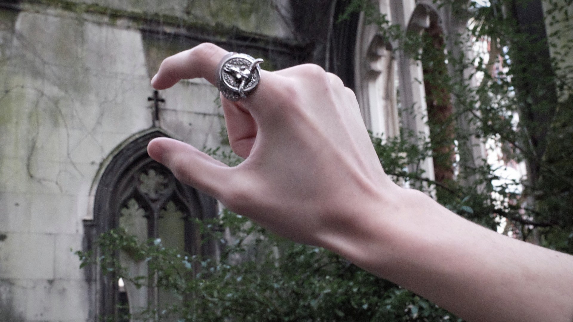 El Matador Ring